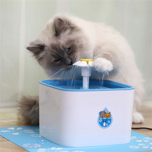 Low-Power, All-Day Running