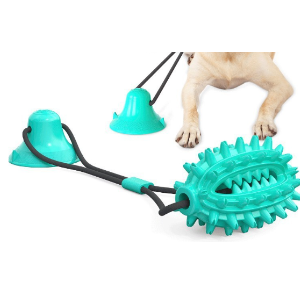 DentiGrip - Dog Dental Cleaning Interactive Toy (One Piece)