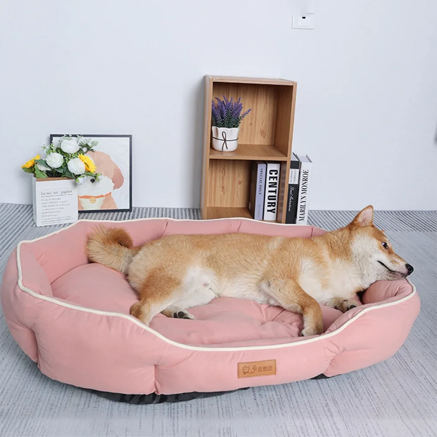 Their Own Sofa, So Yours Stays Yours