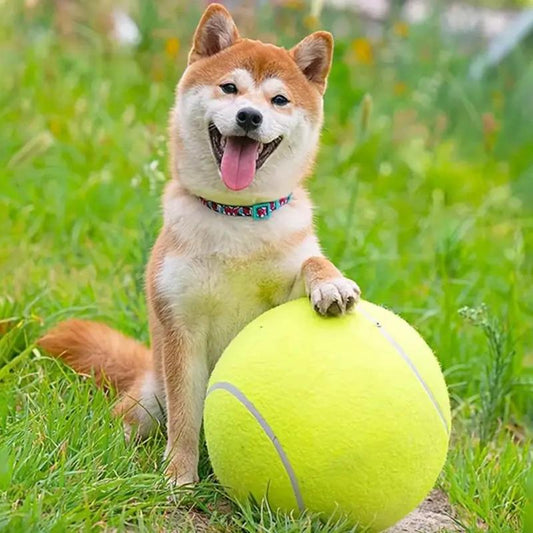 Tennis Ball Design Dog Toy, Pet Interactive Tennis Ball Toy, Pet Training Ball Toy, Pet Interactive Ball Toy for Dogs & Cats, Durable Chew