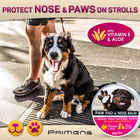 The 2-Minute Paw Rescue - Cracked & Dry Dog Paw Balm