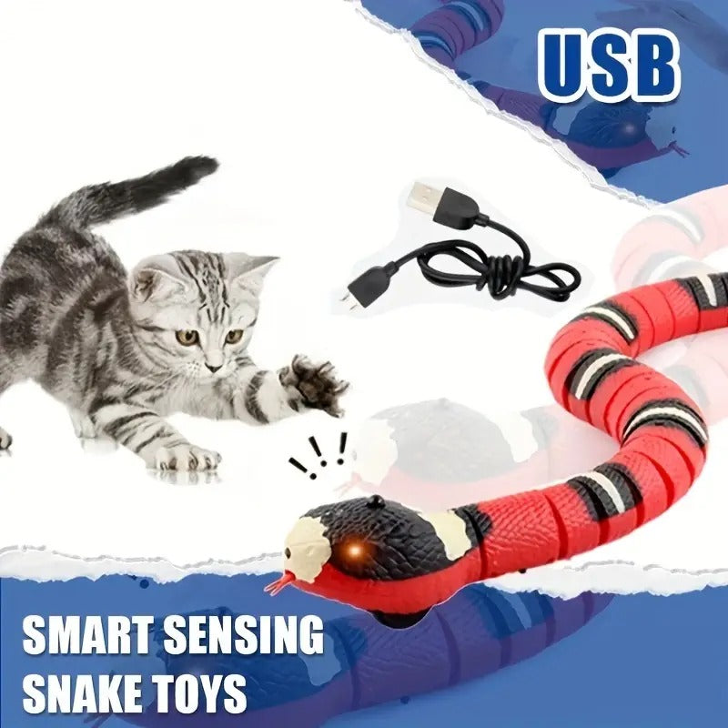 Give Your Indoor Cat Something To Hunt