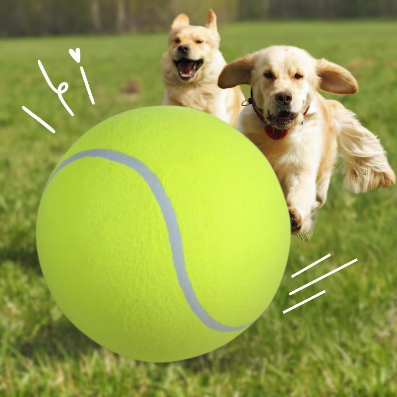 Tennis Ball Design Dog Toy, Pet Interactive Tennis Ball Toy, Pet Training Ball Toy, Pet Interactive Ball Toy for Dogs & Cats, Durable Chew