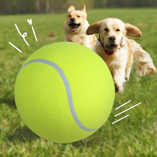 Tennis Ball Design Dog Toy, Pet Interactive Tennis Ball Toy, Pet Training Ball Toy, Pet Interactive Ball Toy for Dogs & Cats, Durable Chew