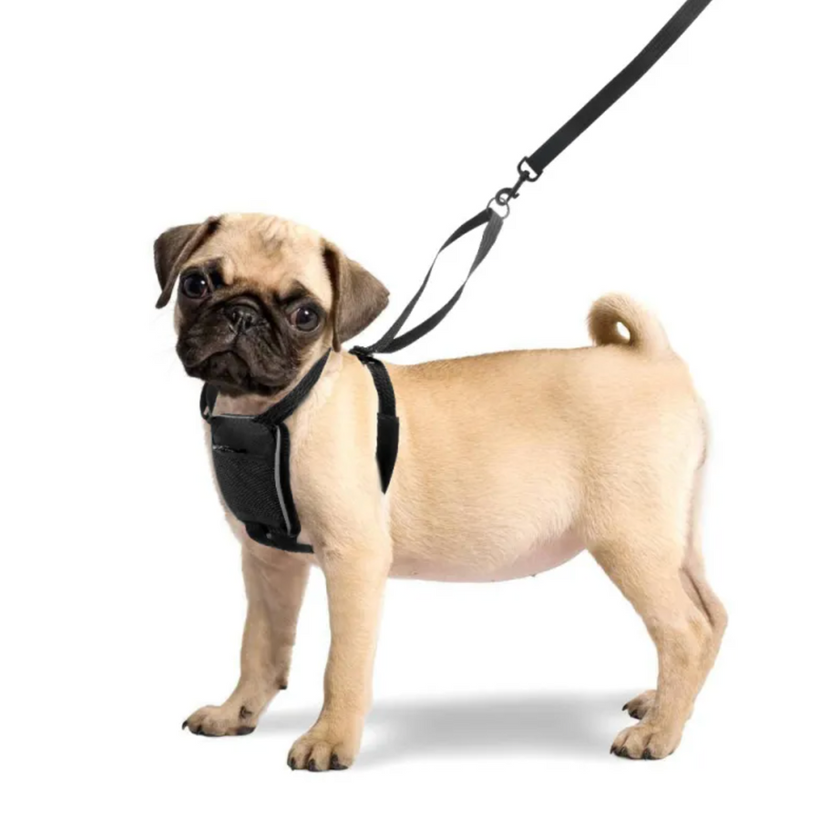 What Is a No-Pull Dog Harness and How Does It Work?