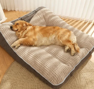 Full-Body Support Calming Bed for Large & Senior Dogs