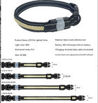 LED Light Up Dog Collar for Night Safety