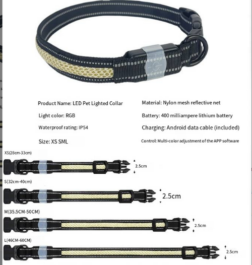 Steady and Flashing Modes
