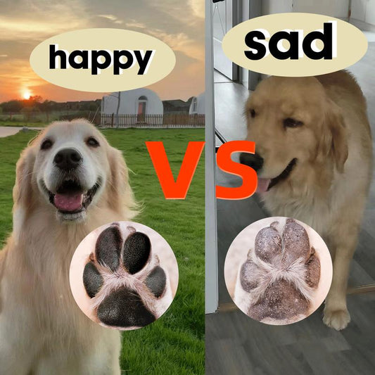 Dog Paw Cleaner, Dogaccessories, No-Rinse Paw Cleaner for Dogs & Cats (5 Oz), Paw Balm for Heal Dry Cracked Paws & Nose, Pet Foot Care, Pet Cleaning Dog Paw Puppy Kittens Grooming