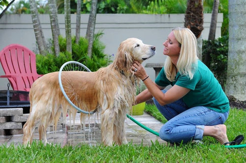 Hands-Free Wraparound Rinse