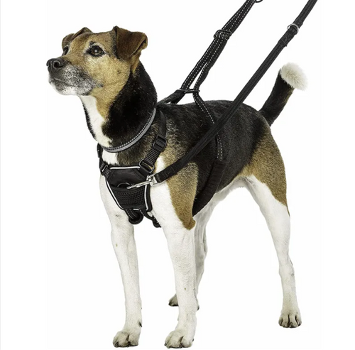 Adjustable Secure Fit