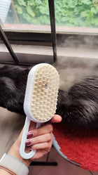 Rechargeable Cat and Dog Steam Grooming Brush Set