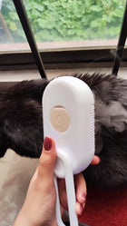 Rechargeable Cat and Dog Steam Grooming Brush Set