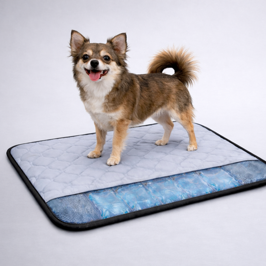 Portable Pet Cooling Mat with Gel Ice Bricks – Breathable Summer Bed for Dogs & Cats - product photo