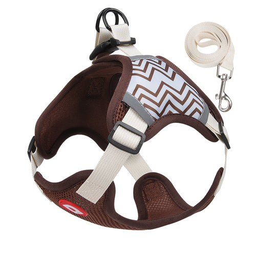 Matching Leash Included
