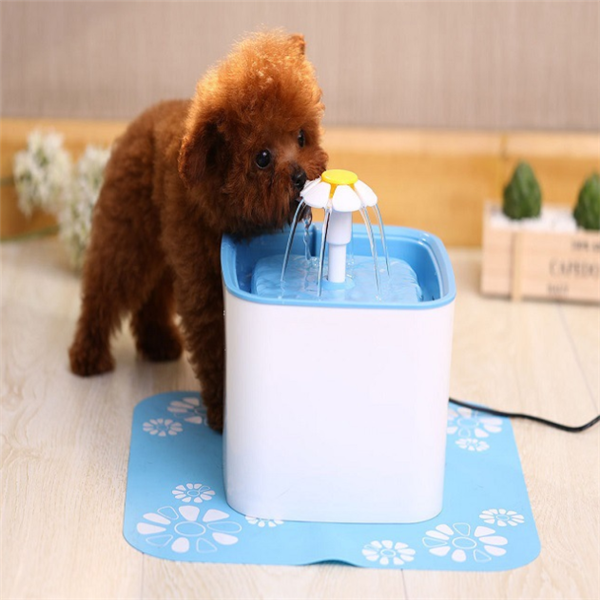 What Is an Electric Pet Water Fountain and How Does It Work?