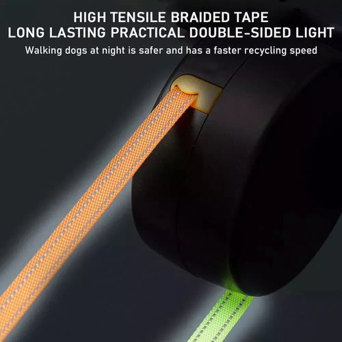 Night Light and Bag Holder