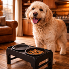 Adjustable Elevated Pet Feeding Bowl with Slow Feeder – Anti-Spill Design for Dogs & Cats - image 4 of 12