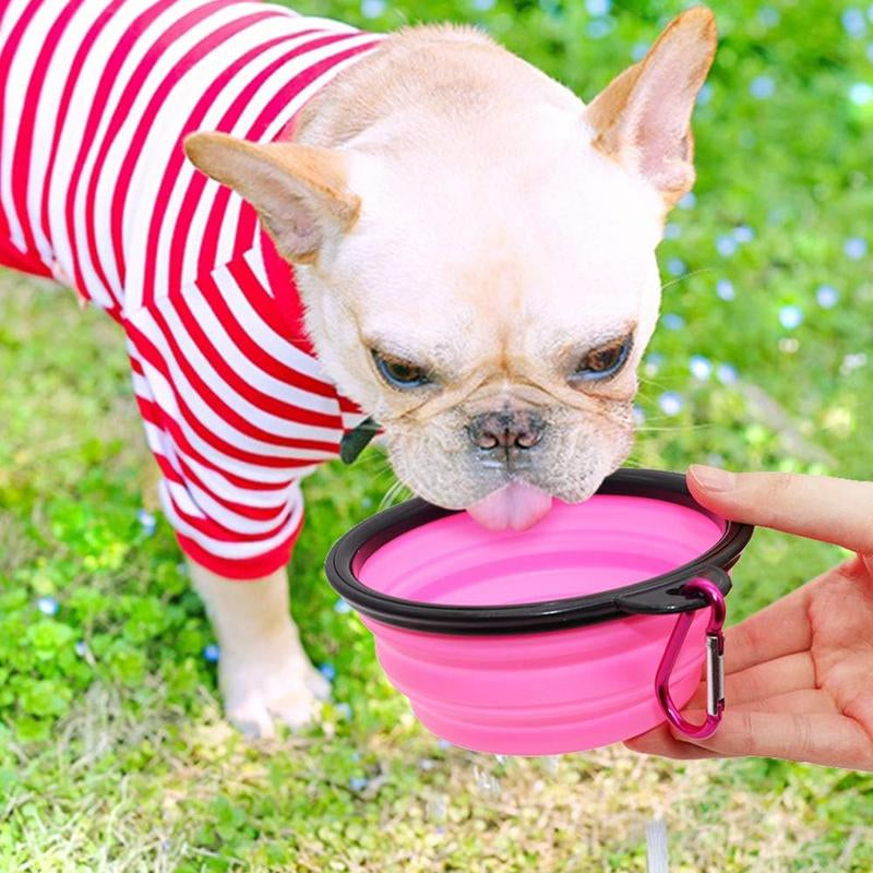 What Is a Collapsible Dog Bowl and How Does It Work?