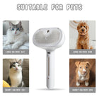 Dog Brush