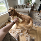 SleekEZ Dog Brush for Shedding & Dog Grooming Supplies Deshedding Dog Brush Dog Brush for Short Haired Dogs Dog Brush for Long Haired Dogs Metal Dog Comb Dog Hair Brush Dog Shedding Brush