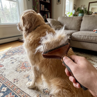 Pet Dog Deshedding Dematting Brush (One Piece)