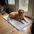 Muddy Mat® Shown on TV – Super Absorbent Microfiber Dog Door Mat for Muddy Paws Non-Slip Washable Pet Rug Quick Dry Chenille Entryway Carpet Machine Washable Indoor Outdoor mat White 28"x18"