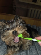 Three-sided pet toothbrush for dogs and cats