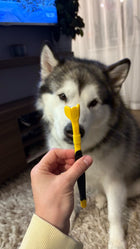 Three-sided pet toothbrush for dogs and cats